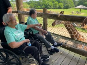 Seniors looking at a giraffe at a zoo
