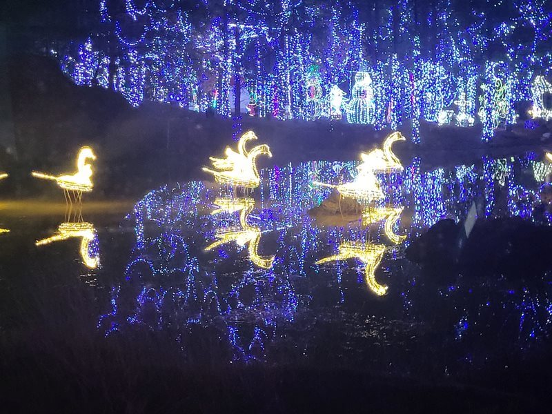 The Hamptons of Tyler | Christmas lights trip to santaland tyler texas
