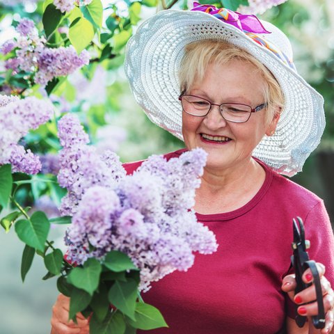 Arabella of Kilgore | Senior gardening