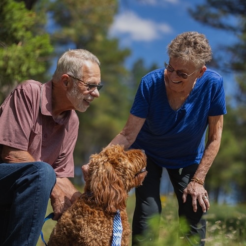 Ariel Point of Sachse | Senior couple on a walk with their dog