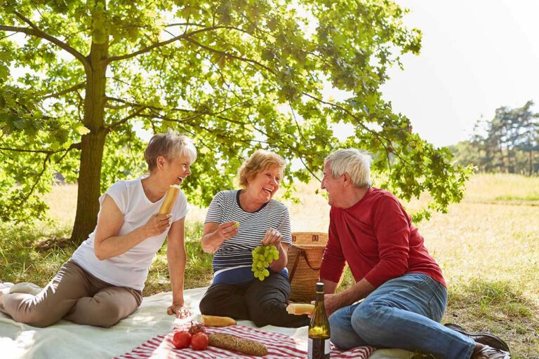 StoneCreek of Copperfield | Happy seniors having a picnic outside under a tree