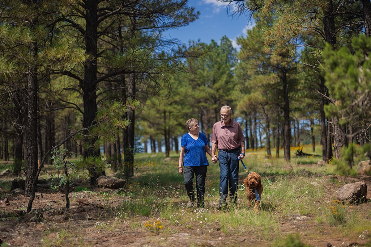 What Are the Best Cities for Seniors to Retire in Arizona?