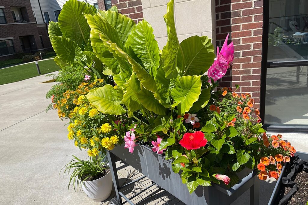 The Grand | Green Thumbs Keep The Grand Blooming Year-Round