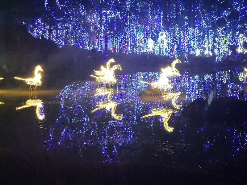 The Hamptons of Tyler | Christmas lights trip to santaland tyler texas