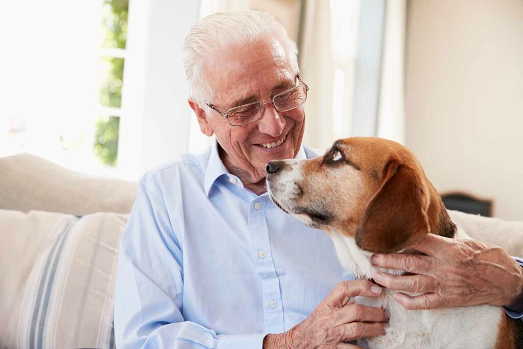 Double Creek | Senior Man Sitting On Sofa At Home With Pet Beagle Dog