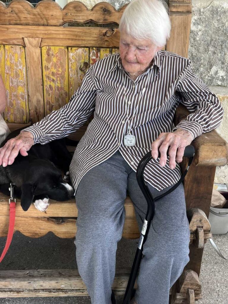 Weekly Love for Rescue Dogs | Alexis Pointe Senior Living