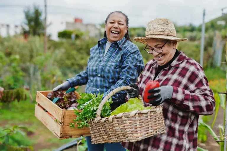 Volunteer Opportunities for Seniors │ Alexis Pointe Wimberley