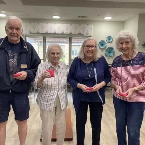 Ariel Pointe of Sachse | Community Life