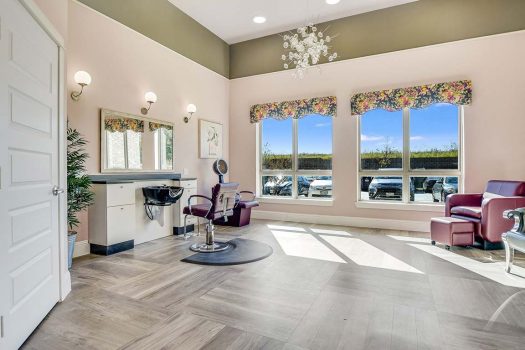 Ariel Pointe of Sachse | Salon room