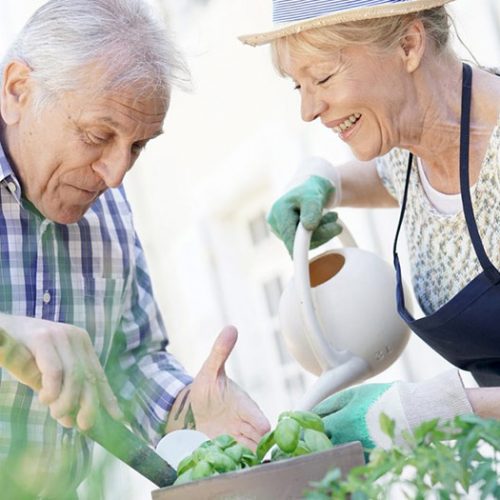 Stone Creek of Copperfield | Senior couple gardening together