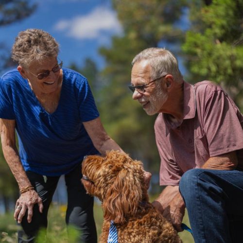 The Bluffs of Flagstaff in Arizona welcomes good dogs for seniors!