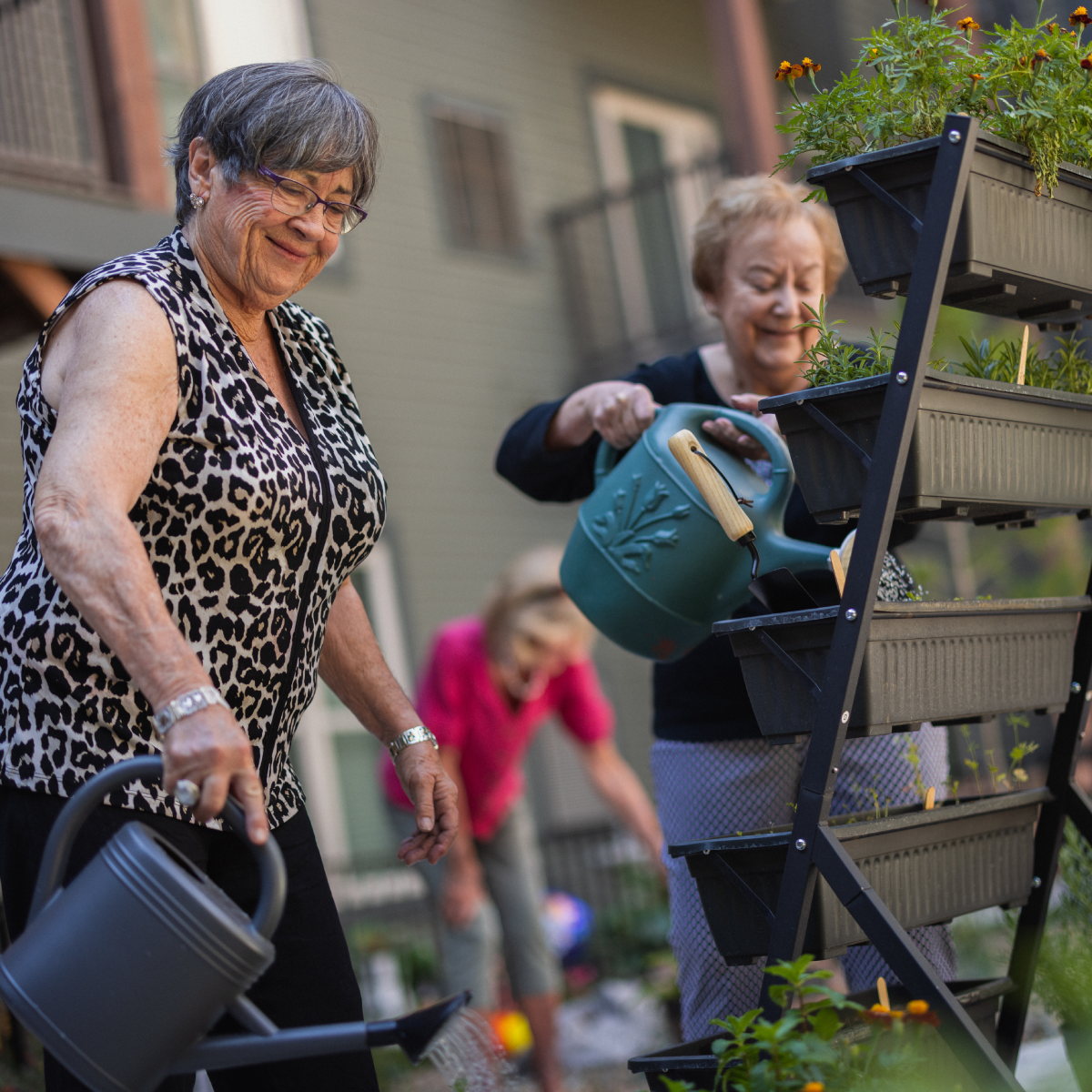 Seniors watering flowers