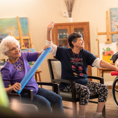 Double Creek | Seniors participating in group exercise together