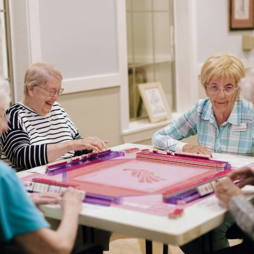 civitas-senior-living-renovations copy